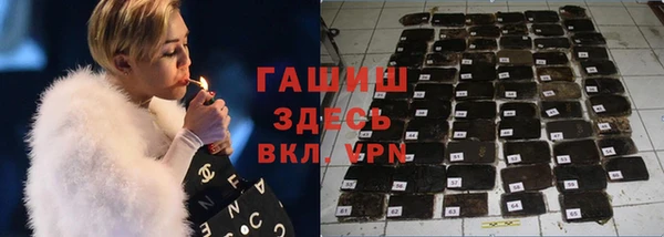 крисы Магас