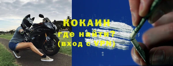 крисы Магас