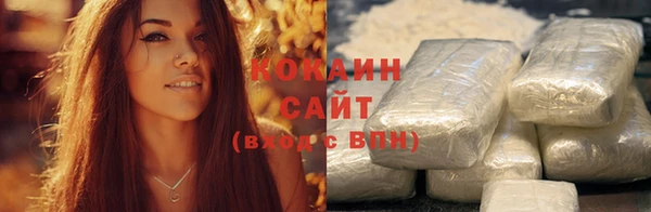 крисы Магас