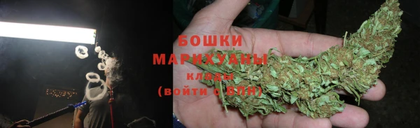 крисы Магас
