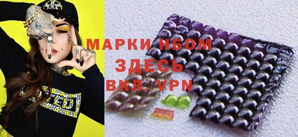 крисы Магас