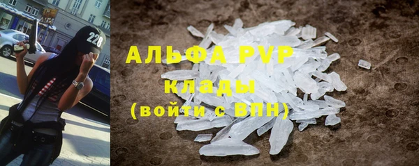 крисы Магас