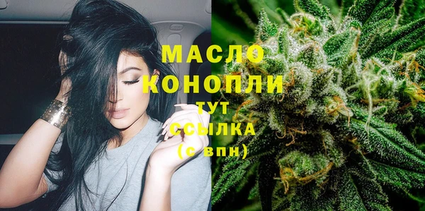 крисы Магас