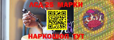шишки Камышлов