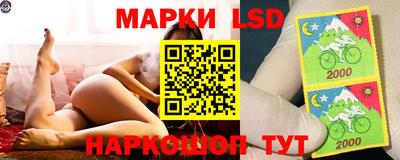 скорость Кандалакша