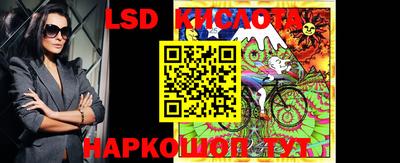 шишки Камышлов