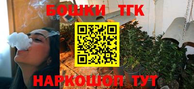 шишки Камышлов
