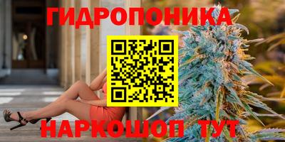 шишки Камышлов