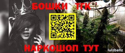 скорость Кандалакша
