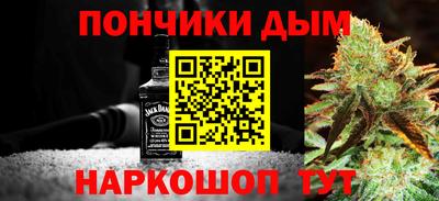 шишки Камышлов