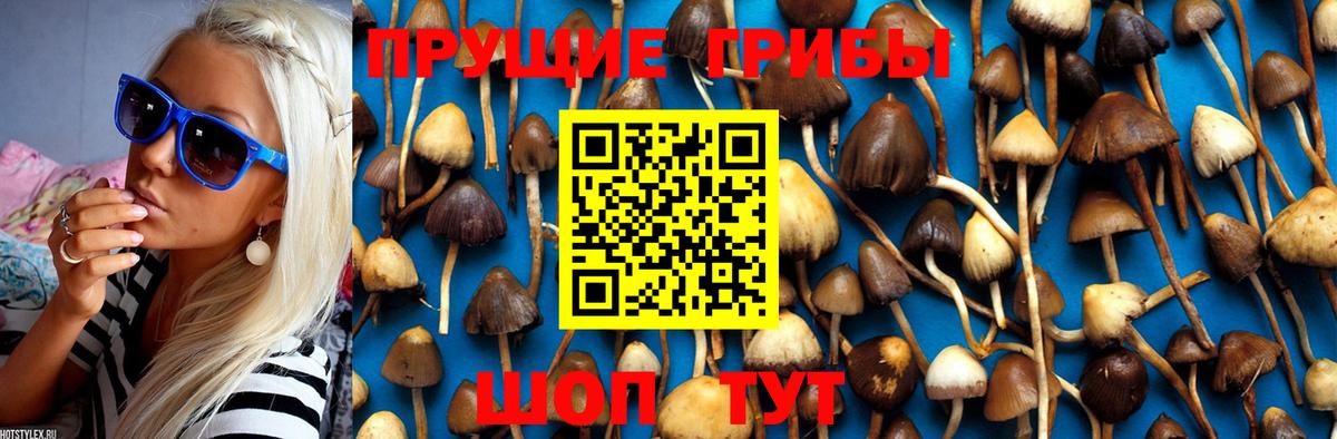 Первоуральск  Галлюциногенные грибы мицелий  Вход с VPN 